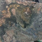 Alice Blue Granite, High Quality Blue Granite Slab