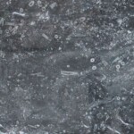 Barranca black marble slab with competitive price