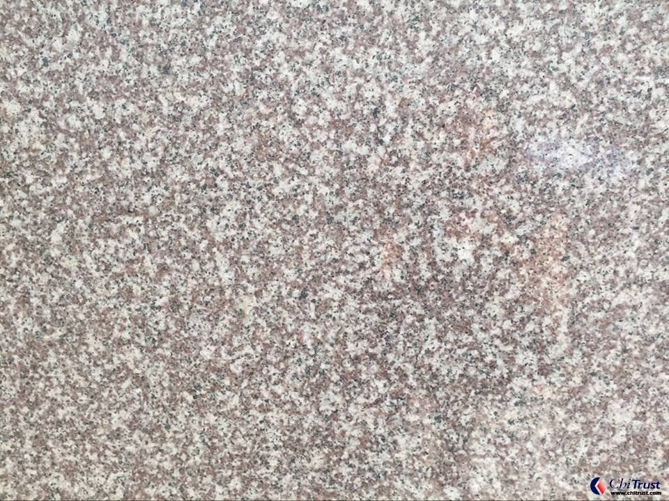 China G664 Granite