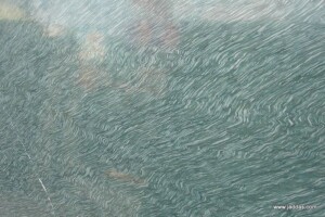 Green river marble slab with competitive price