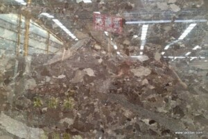 Lisa brown marble slab with competitive price