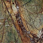 Rain Fores Green Marble
