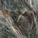 Rainforest brown marble slab with competitive price
