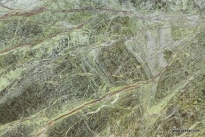 Rainforest green marble slab with competitive price