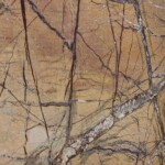 Rainforest yellow marble slab with competitive price