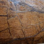 Rainforest yellow marble slab with competitive price