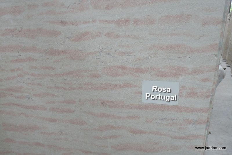 Rosa portugal