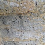 Tundra gold marble slab with competitive price