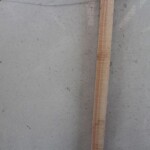 White palace marble slab with competitive price